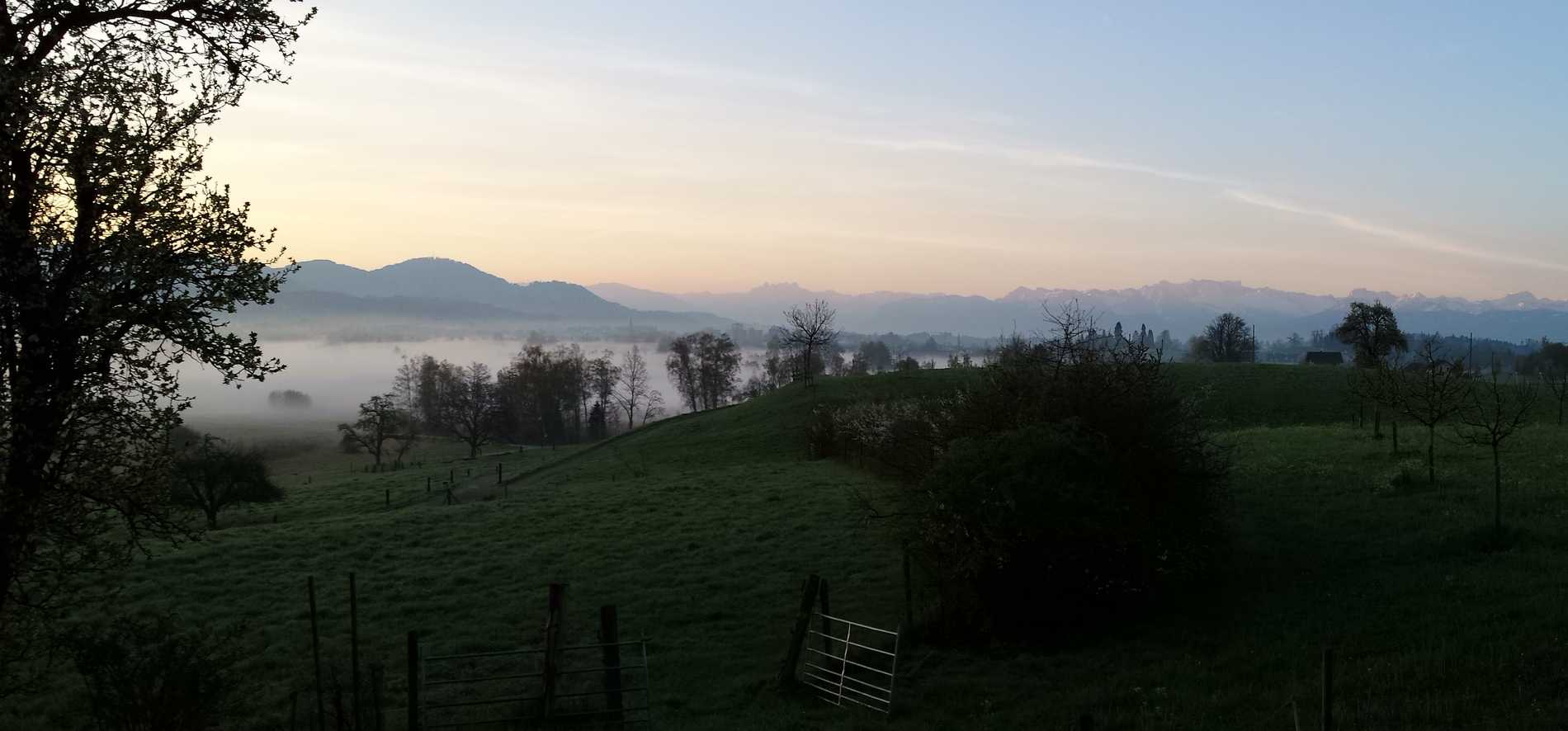 Das Robenhauserried vor der Kulisse er Glarneralpen an einem Herbstmorgen mit aufsteigendem Nebel ist Zeugnis von Resilienz in Ökosystemen. Seit Jahrhunderten hat es gelernt mit Veränderungen fertig zu werden.