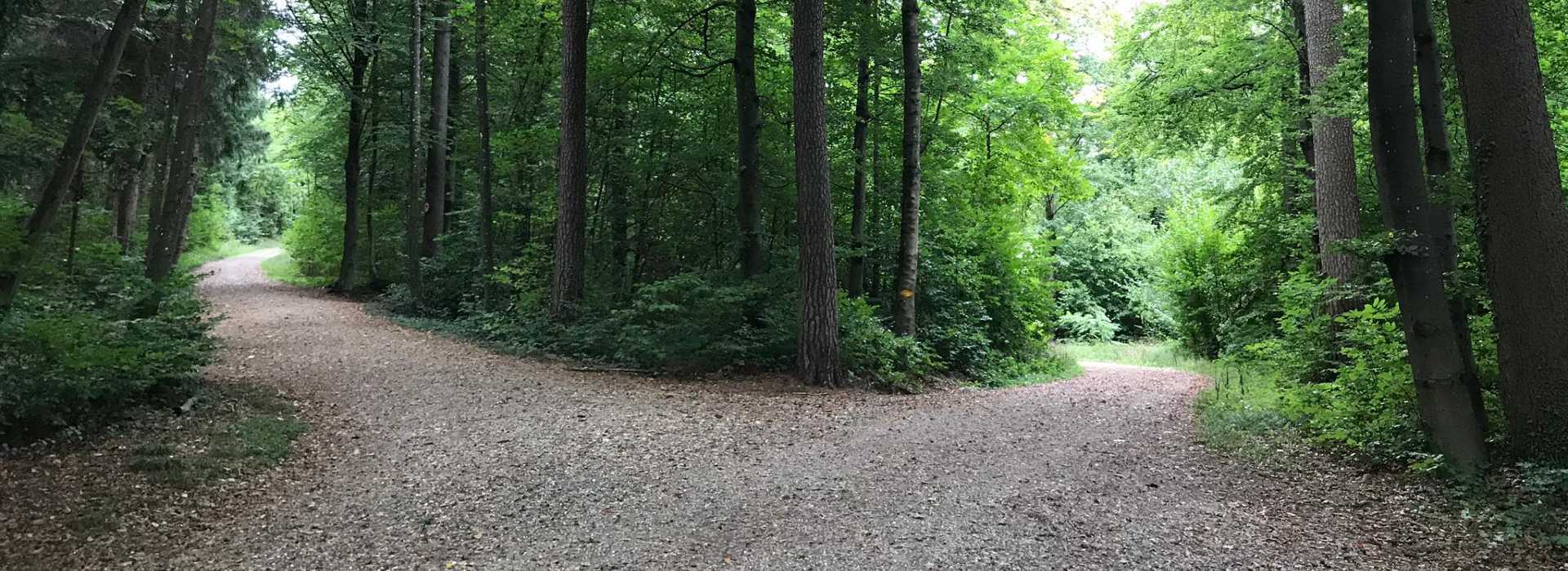 Wegscheide_breit.jpg